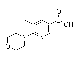 B-[5-Methyl-6-(4-morpholinyl)-3-pyridinyl]boronic acid